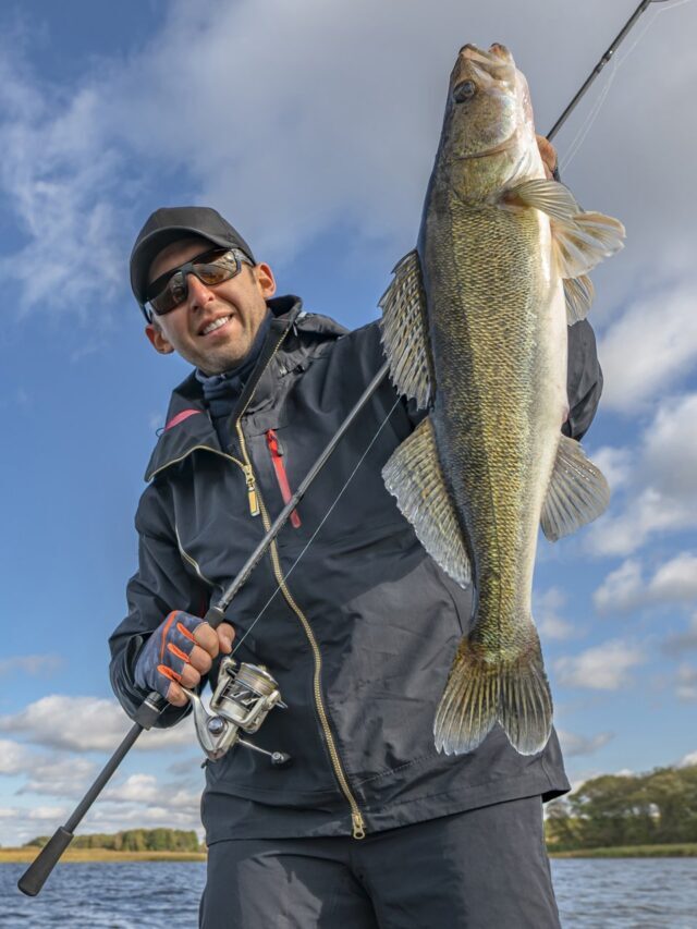 Рыболовные снасти Select Fishing – SELECT